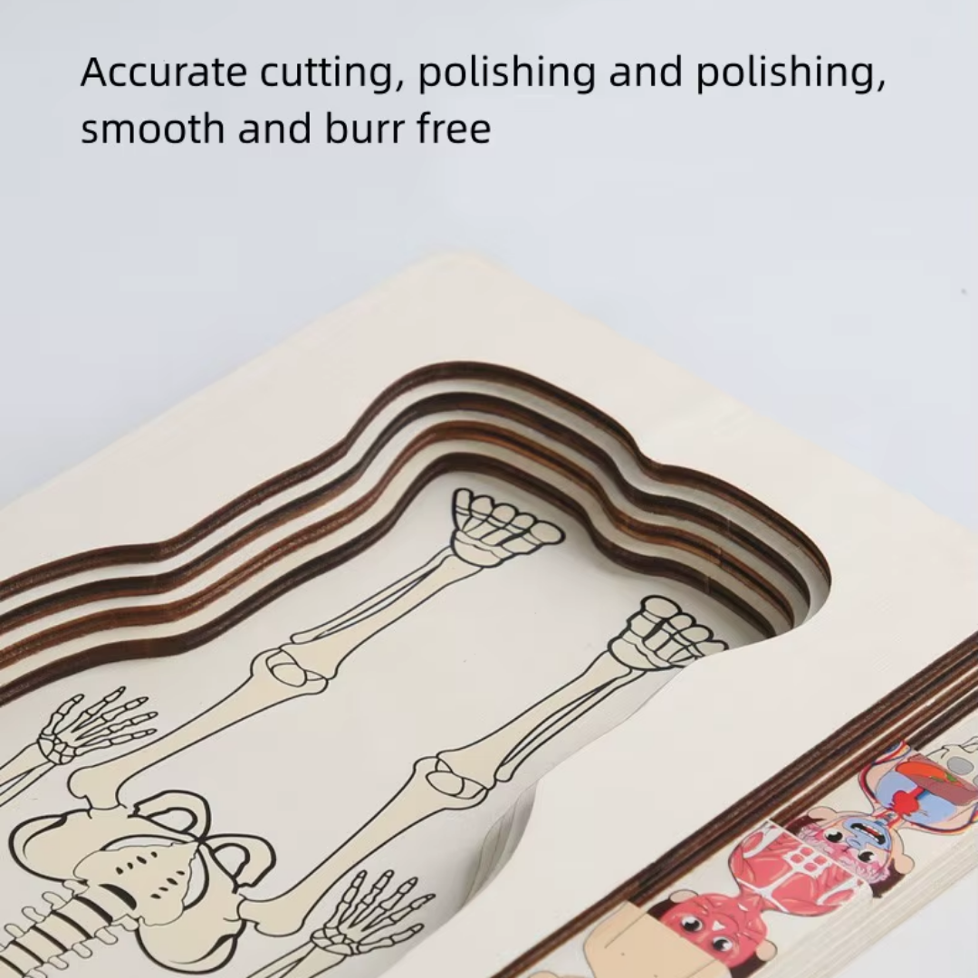 Rompecabezas Cuerpo Humano en Capas