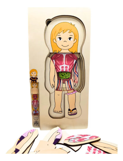 Rompecabezas Cuerpo Humano en Capas