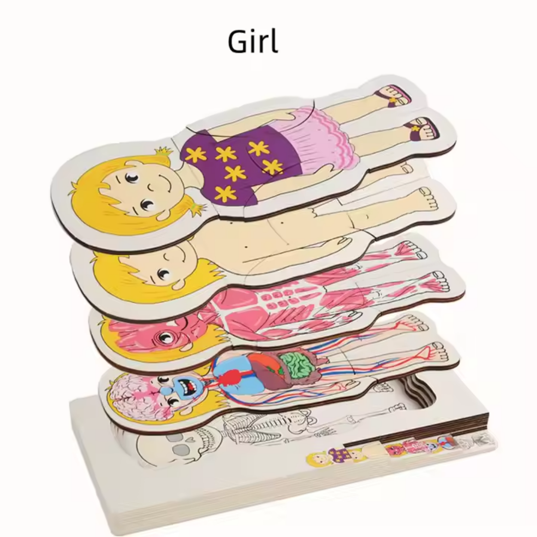 Rompecabezas Cuerpo Humano en Capas